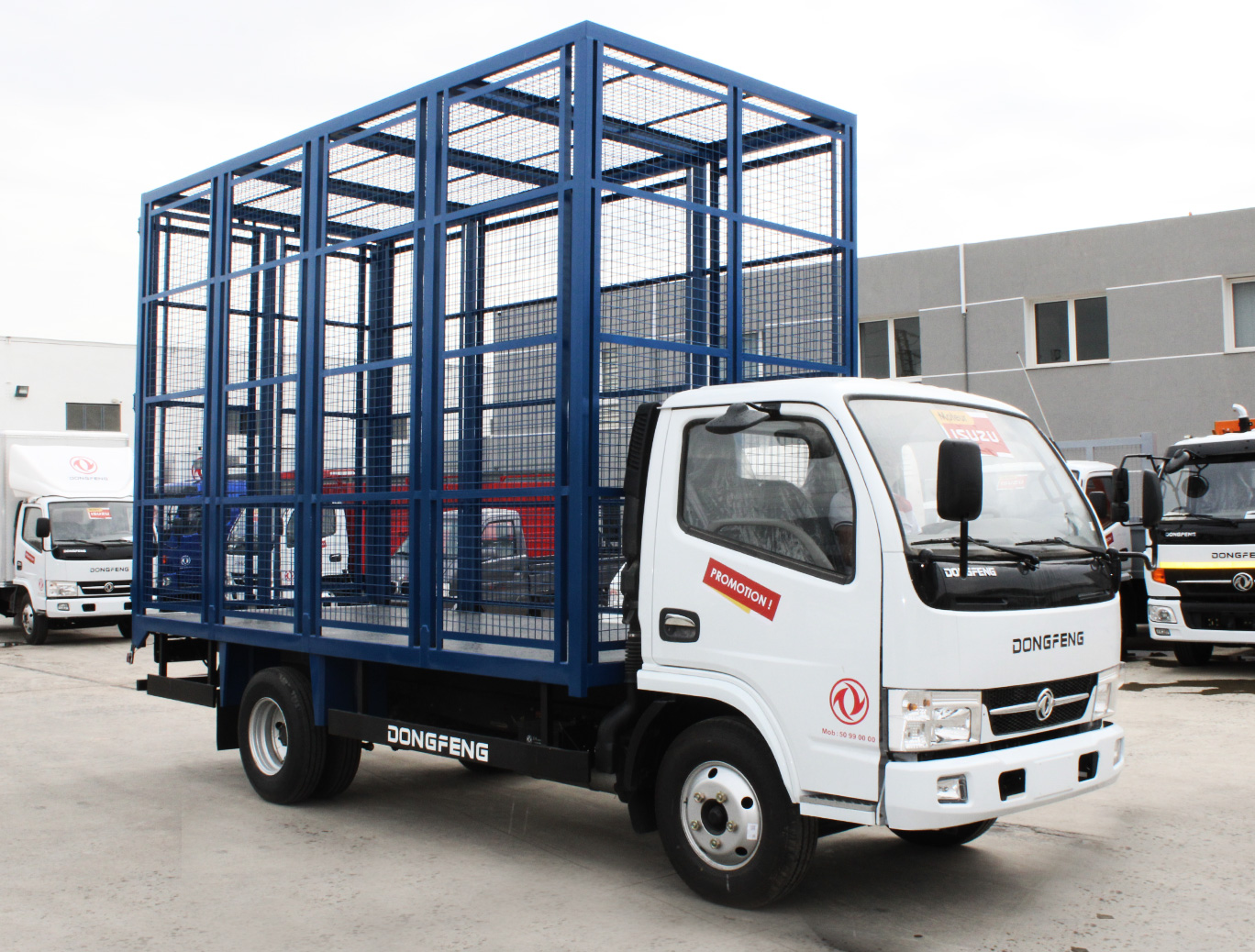Camion DONGFENG REALLING E21
